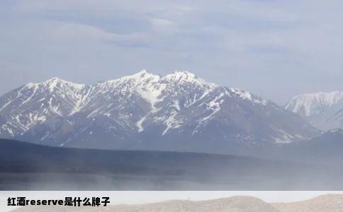 红酒reserve是什么牌子