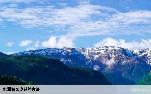 红酒怎么浇花的方法