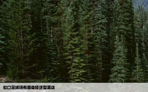 虹口足球场有哪些经济型酒店