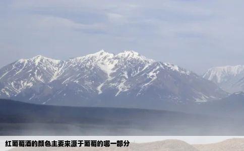 红葡萄酒的颜色主要来源于葡萄的哪一部分