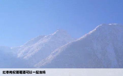 红枣枸杞葡萄酒可以一起泡吗