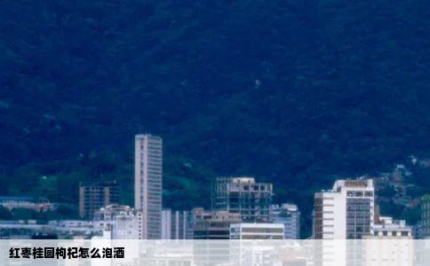 红枣桂圆枸杞怎么泡酒