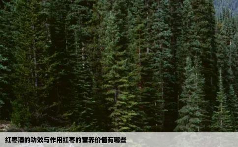 红枣酒的功效与作用红枣的营养价值有哪些