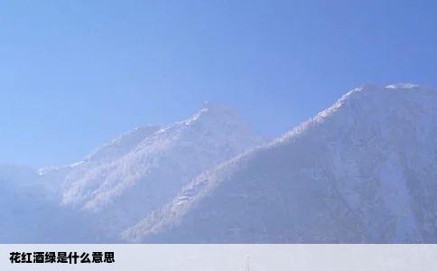 花红酒绿是什么意思