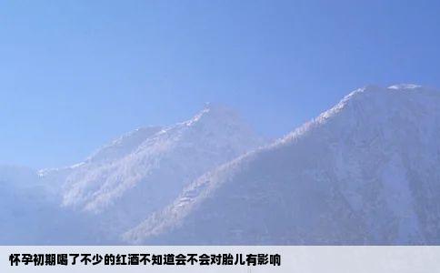 怀孕初期喝了不少的红酒不知道会不会对胎儿有影响