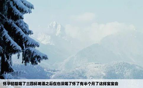 怀孕初期喝了三四杯啤酒之后在也没喝了怀了有半个月了这样宝宝会