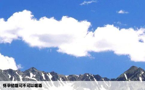 怀孕初期可不可以喝酒