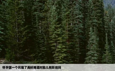 怀孕第一个月喝了两杯啤酒对胎儿有影响吗