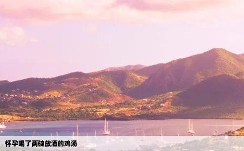 怀孕喝了两碗放酒的鸡汤