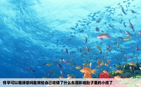 怀孕可以喝绿茶吗我就怕自己吃错了什么东西影响肚子里的小孩了