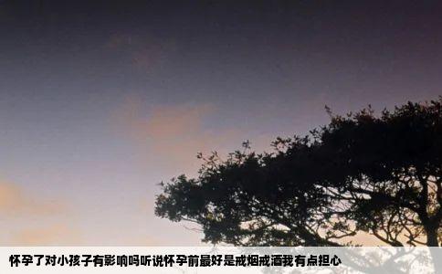怀孕了对小孩子有影响吗听说怀孕前最好是戒烟戒酒我有点担心