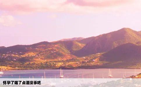 怀孕了喝了点酒没事吧