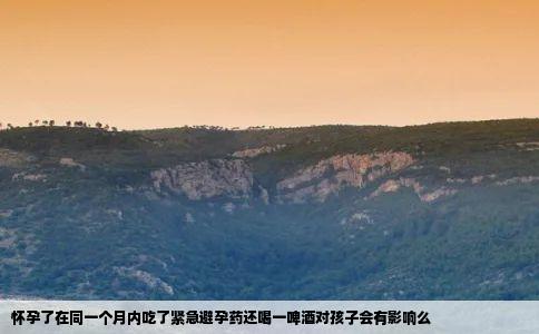 怀孕了在同一个月内吃了紧急避孕药还喝一啤酒对孩子会有影响么