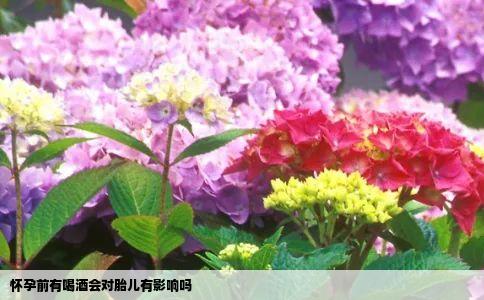 怀孕前有喝酒会对胎儿有影响吗
