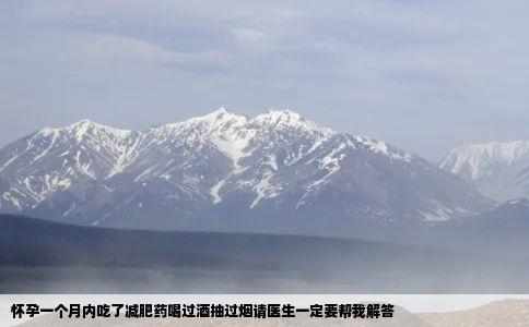 怀孕一个月内吃了减肥药喝过酒抽过烟请医生一定要帮我解答