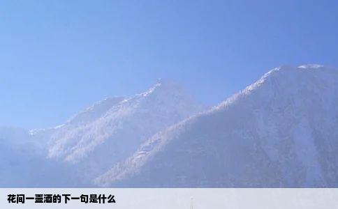 花间一壶酒的下一句是什么