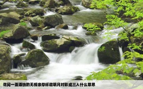 花间一壶酒独酌无相亲举杯邀明月对影成三人什么意思