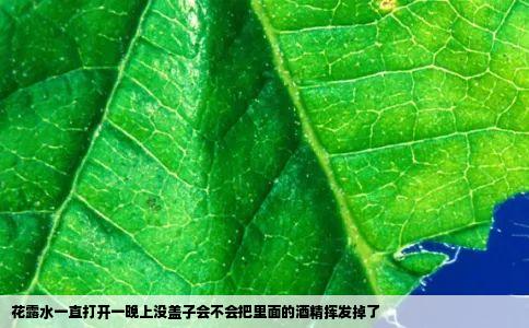 花露水一直打开一晚上没盖子会不会把里面的酒精挥发掉了