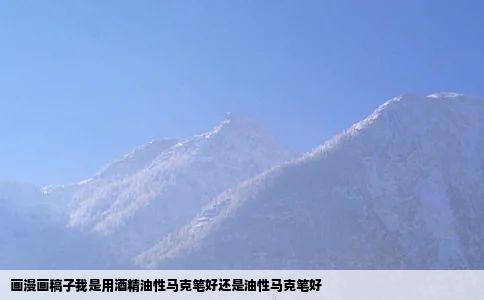 画漫画稿子我是用酒精油性马克笔好还是油性马克笔好