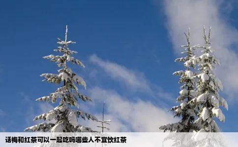 话梅和红茶可以一起吃吗哪些人不宜饮红茶