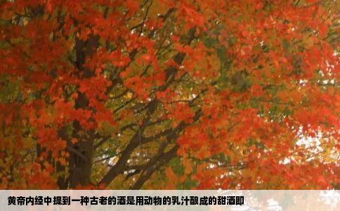 黄帝内经中提到一种古老的酒是用动物的乳汁酿成的甜酒即