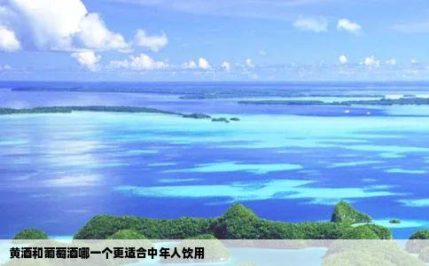 黄酒和葡萄酒哪一个更适合中年人饮用