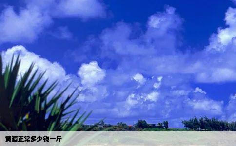 黄酒正常多少钱一斤