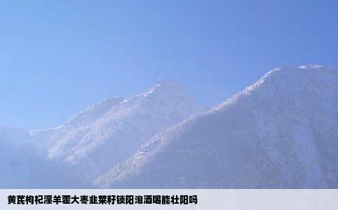 黄芪枸杞淫羊藿大枣韭莱籽锁阳泡酒喝能壮阳吗