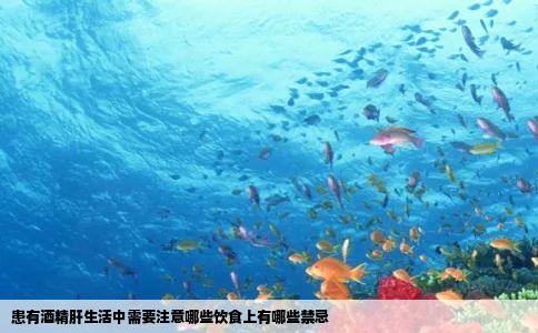 患有酒精肝生活中需要注意哪些饮食上有哪些禁忌