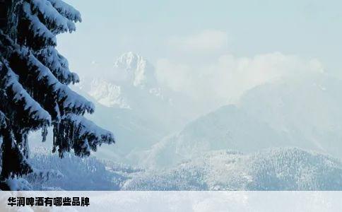 华润啤酒有哪些品牌