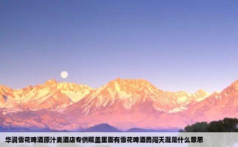 华润雪花啤酒原汁麦酒店专供瓶盖里面有雪花啤酒勇闯天涯是什么意思