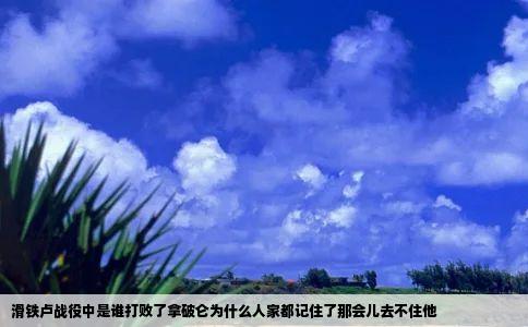 滑铁卢战役中是谁打败了拿破仑为什么人家都记住了那会儿去不住他