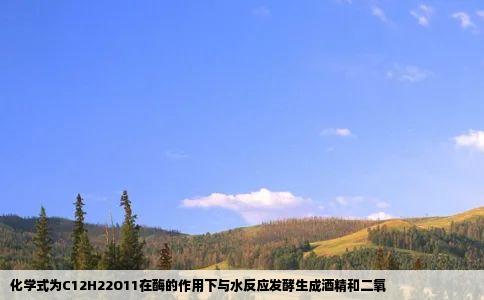 化学式为C12H22O11在酶的作用下与水反应发酵生成酒精和二氧