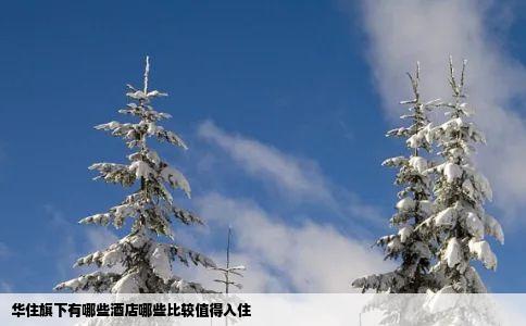 华住旗下有哪些酒店哪些比较值得入住