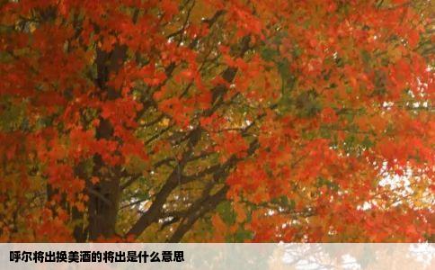 呼尔将出换美酒的将出是什么意思