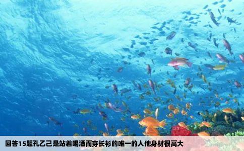 回答15题孔乙己是站着喝酒而穿长衫的唯一的人他身材很高大