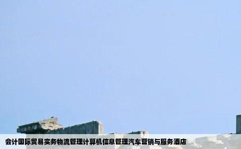 会计国际贸易实务物流管理计算机信息管理汽车营销与服务酒店