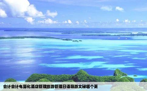 会计会计电算化酒店管理旅游管理日语导游文秘哪个更