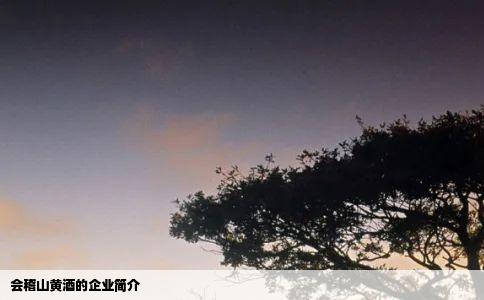 会稽山黄酒的企业简介