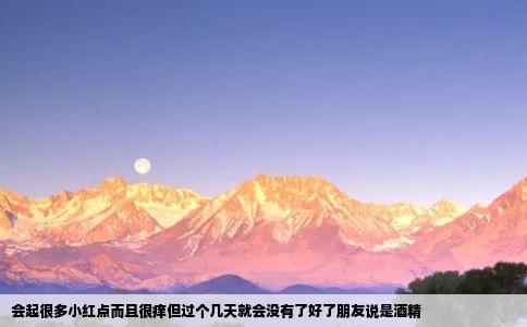 会起很多小红点而且很痒但过个几天就会没有了好了朋友说是酒精