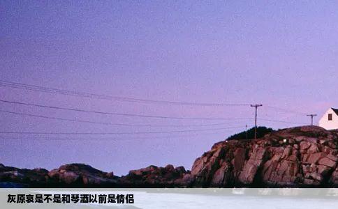 灰原哀是不是和琴酒以前是情侣