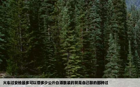 火车过安检最多可以带多少公斤白酒散装的就是自己酿的那种过