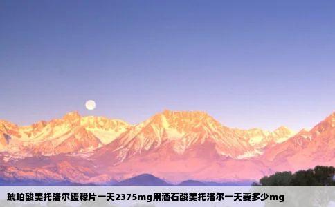 琥珀酸美托洛尔缓释片一天2375mg用酒石酸美托洛尔一天要多少mg