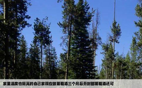 家里温度也挺高的自己家现在做葡萄酒三个月后开封那葡萄酒还可