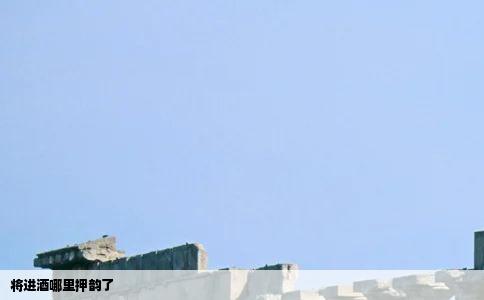 将进酒哪里押韵了