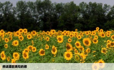 将进酒前两句的君