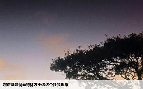 将进酒如何看待怀才不遇这个社会现象