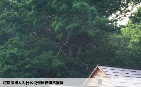 将进酒诗人为什么说但愿长醉不复醒