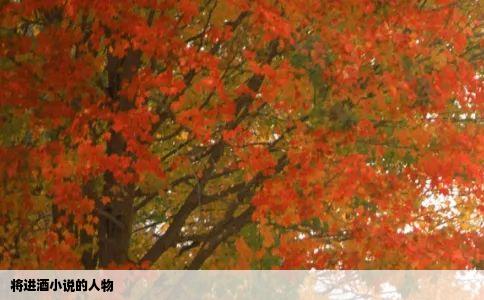 将进酒小说的人物