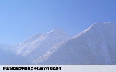 将进酒这首诗中哪些句子反映了作者的感情